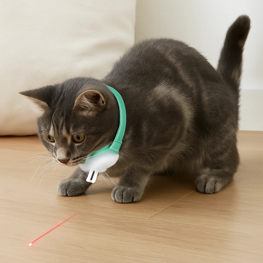 H - COLLAR CON LASER PARA MASCOTAS  / PIDE TU PRODUCTO Y PAGAS AL RECIBIR