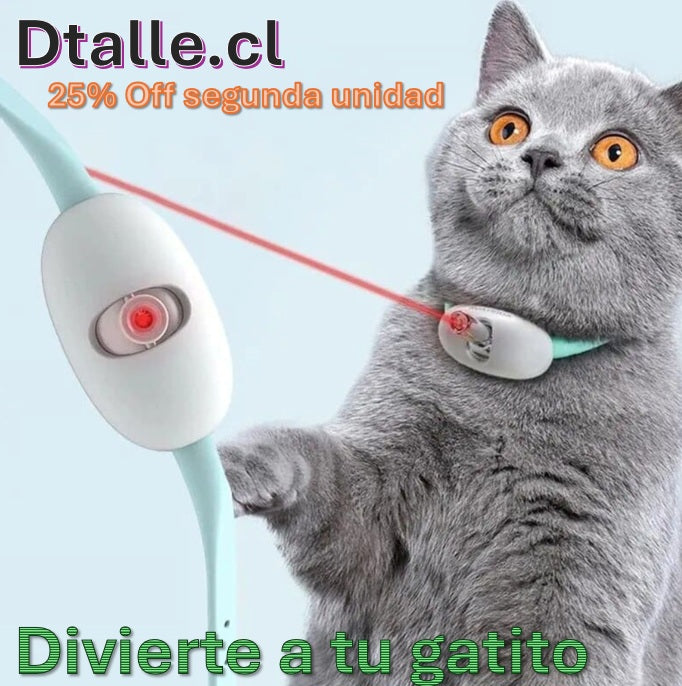 H - COLLAR CON LASER PARA MASCOTAS  / PIDE TU PRODUCTO Y PAGAS AL RECIBIR