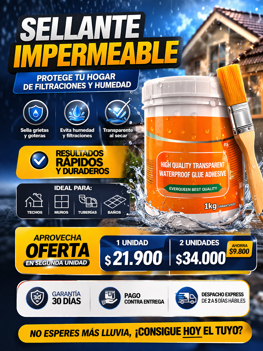 Sellador Impermeable 1Kg