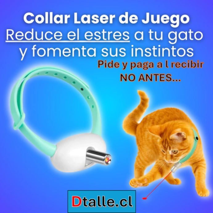 H - COLLAR CON LASER PARA MASCOTAS  / PIDE TU PRODUCTO Y PAGAS AL RECIBIR